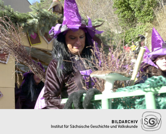 Schifferfastnacht in Bad Schandau