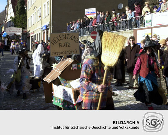 Schifferfastnacht in Bad Schandau