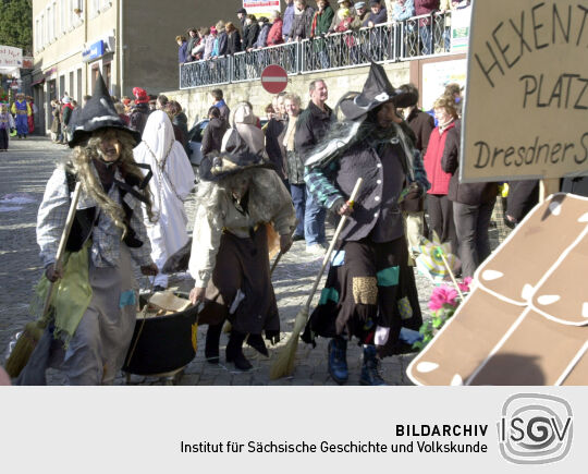 Schifferfastnacht in Bad Schandau