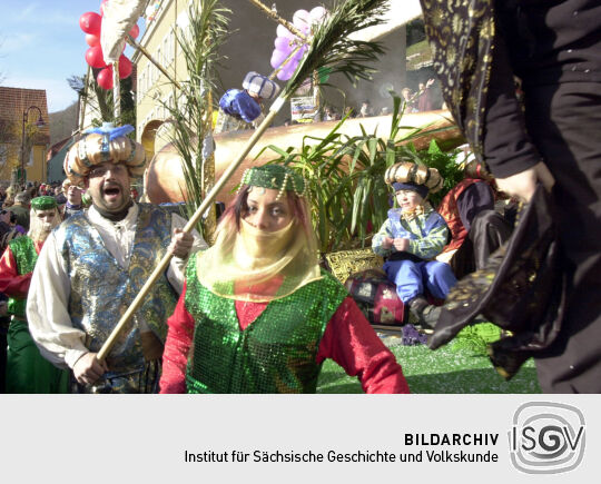Schifferfastnacht in Bad Schandau