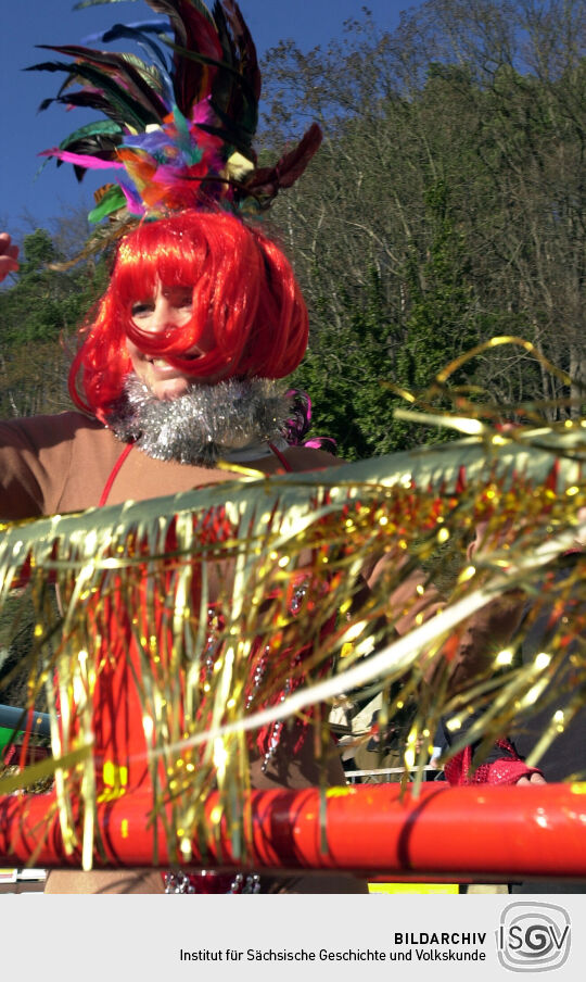 Schifferfastnacht in Bad Schandau