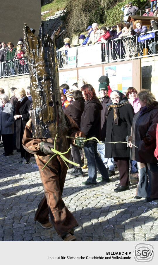 Schifferfastnacht in Bad Schandau