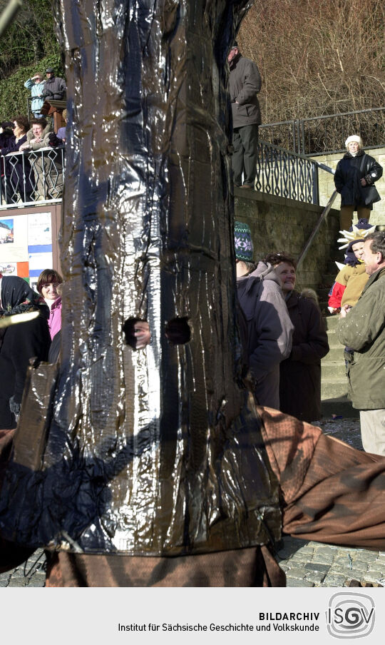 Schifferfastnacht in Bad Schandau