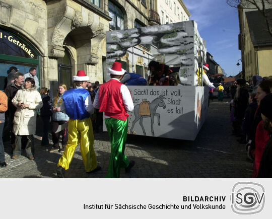 Schifferfastnacht in Bad Schandau