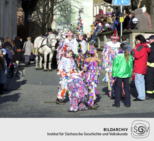 Schifferfastnacht in Bad Schandau