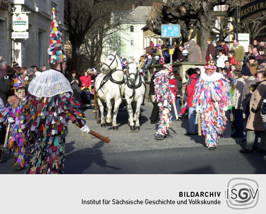 Schifferfastnacht in Bad Schandau