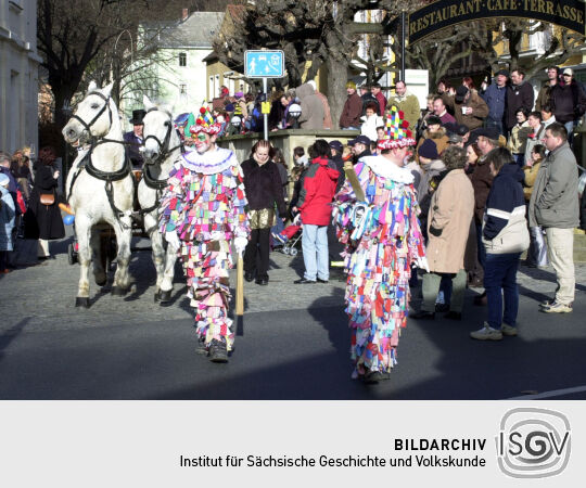 Schifferfastnacht in Bad Schandau