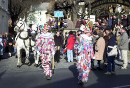 Bild: Schifferfastnacht in Bad Schandau