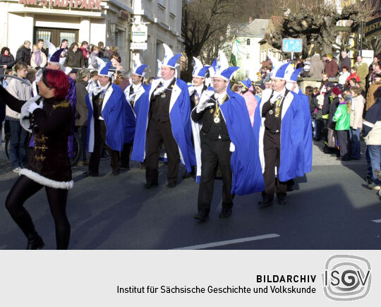 Schifferfastnacht in Bad Schandau