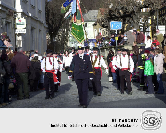 Schifferfastnacht in Bad Schandau