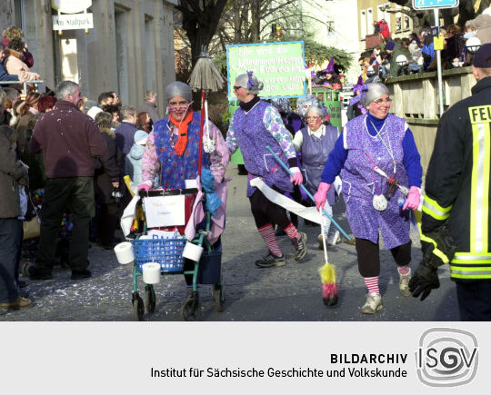 Schifferfastnacht in Bad Schandau