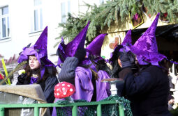 Bild: Schifferfastnacht in Bad Schandau