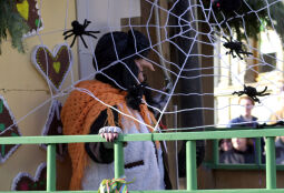 Bild: Schifferfastnacht in Bad Schandau