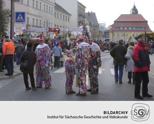 Schifferfastnacht in Bad Schandau