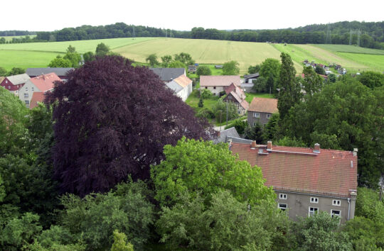 Ortsansicht in Seifersdorf