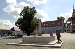 Bild: Ortsansicht in Elstra