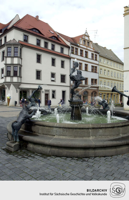 Ortsansicht in Torgau