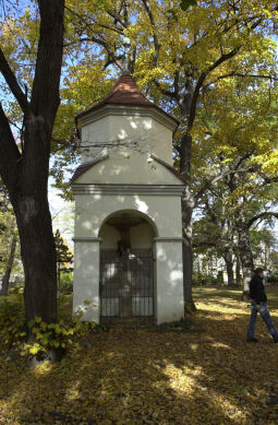 Bild: Ortsansicht in Wurzen