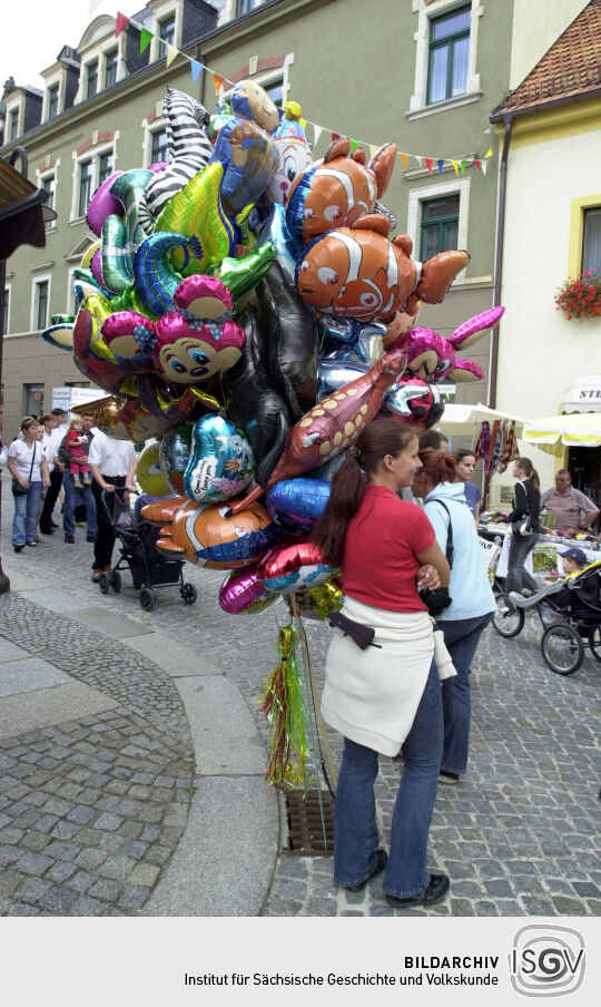 Radeberger Altstadtfest