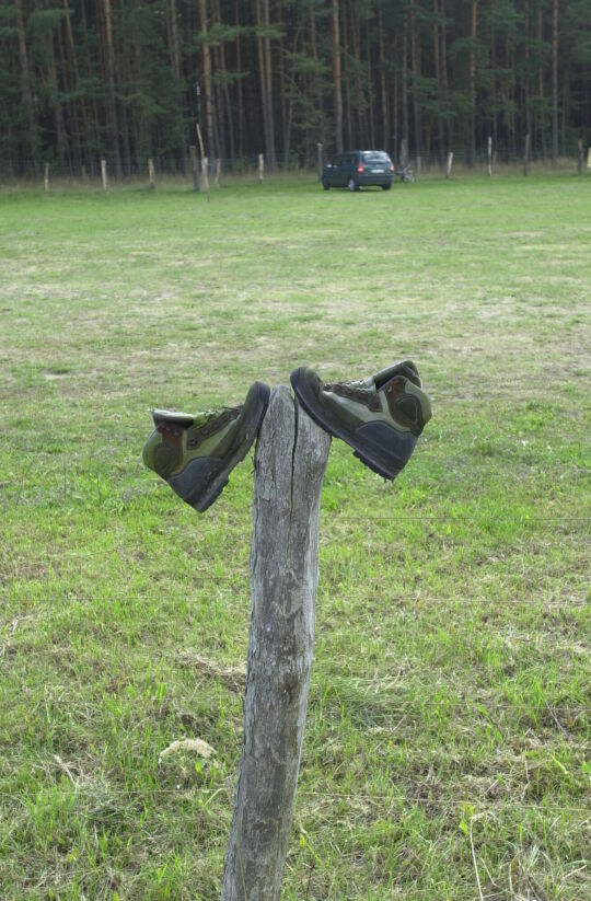 Ortsansicht in Zentendorf