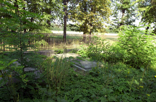 Ortsansicht in Quitzdorf am See