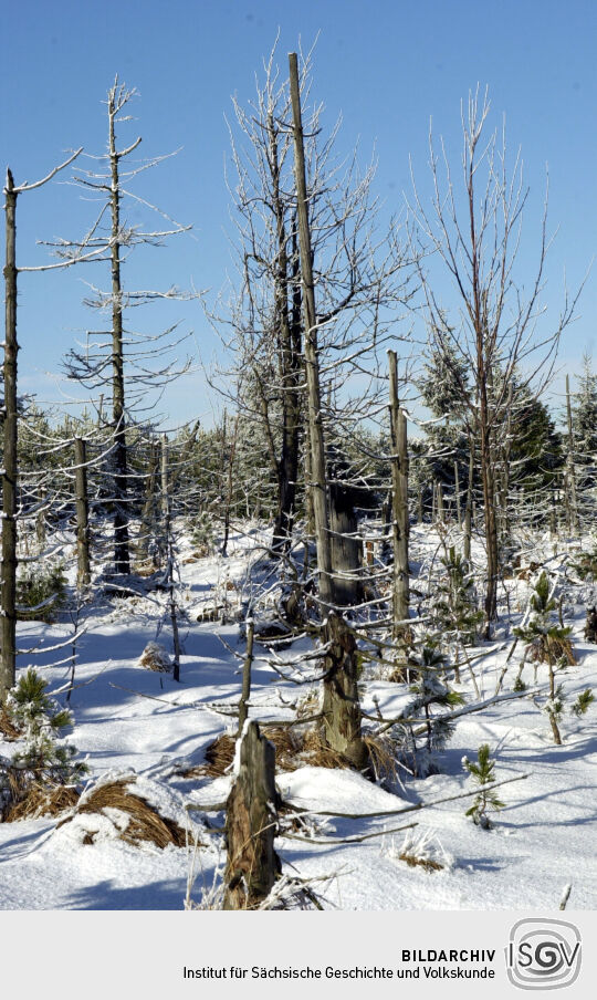 Landschaftsansicht im Erzgebirge