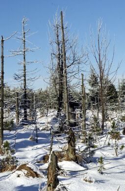 Bild: Landschaftsansicht im Erzgebirge