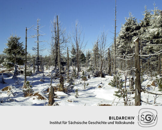 Landschaftsansicht im Erzgebirge