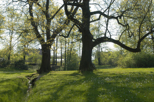 Ortsansicht in Helfenberg