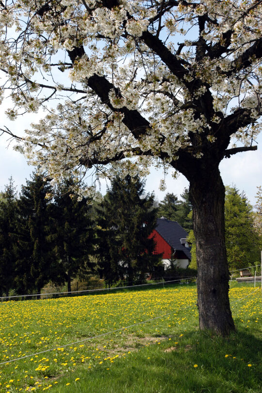 Landschaftsansicht zwischen Eschdorf und Schönfeld