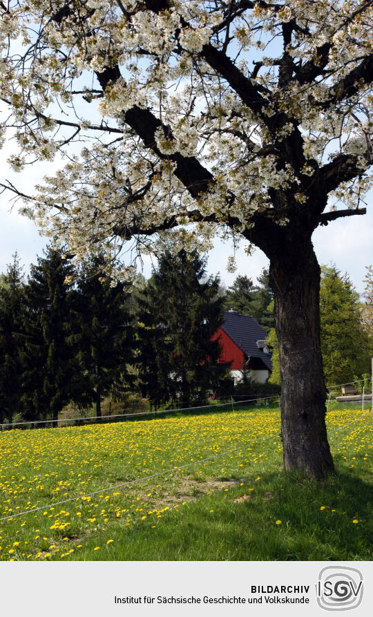 Landschaftsansicht zwischen Eschdorf und Schönfeld