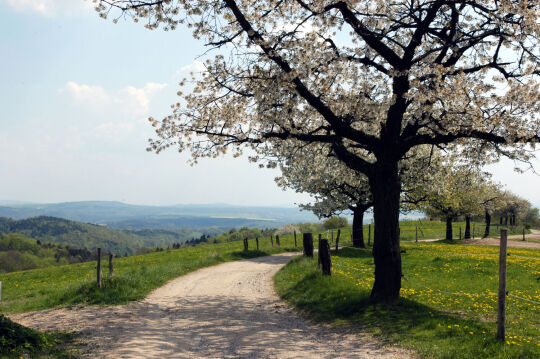 Landschaftsansicht zwischen Eschdorf und Schönfeld