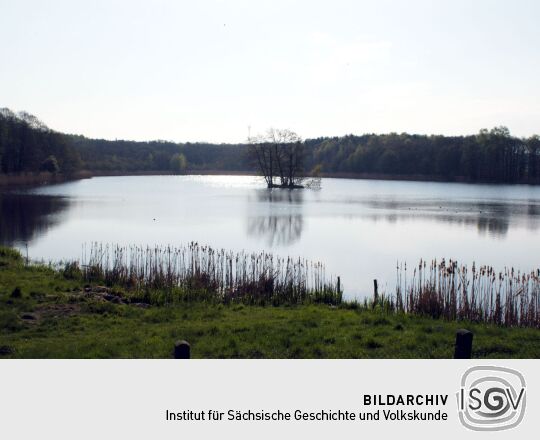 Landschaftsansicht in Rossendorf