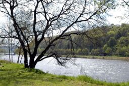 Bild: Landschaftsansicht in Pirna