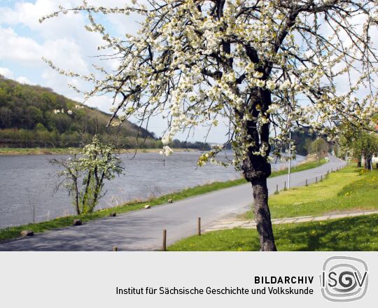 Landschaftsansicht in Pirna