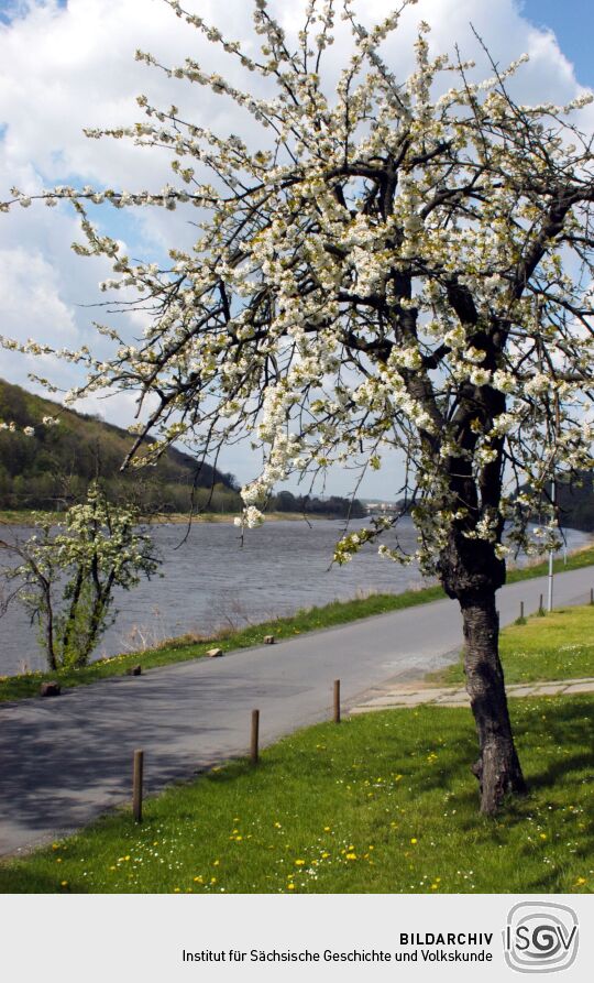 Landschaftsansicht in Pirna
