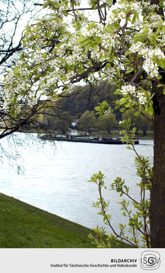 Landschaftsansicht in Pirna