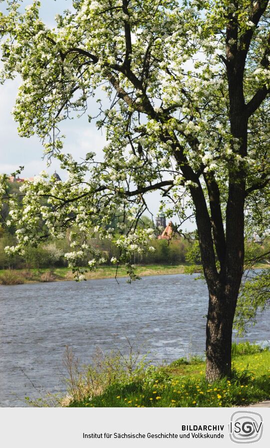 Landschaftsansicht in Pirna