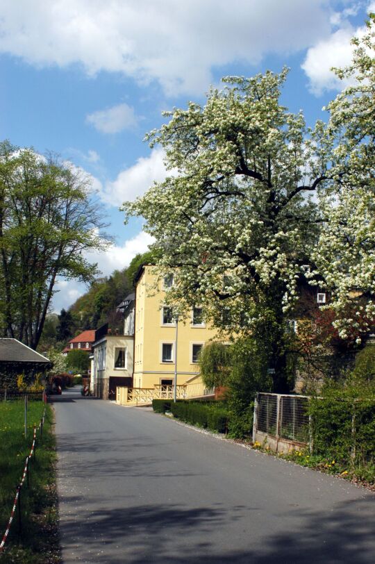 An der Elbe in Pirna-Posta