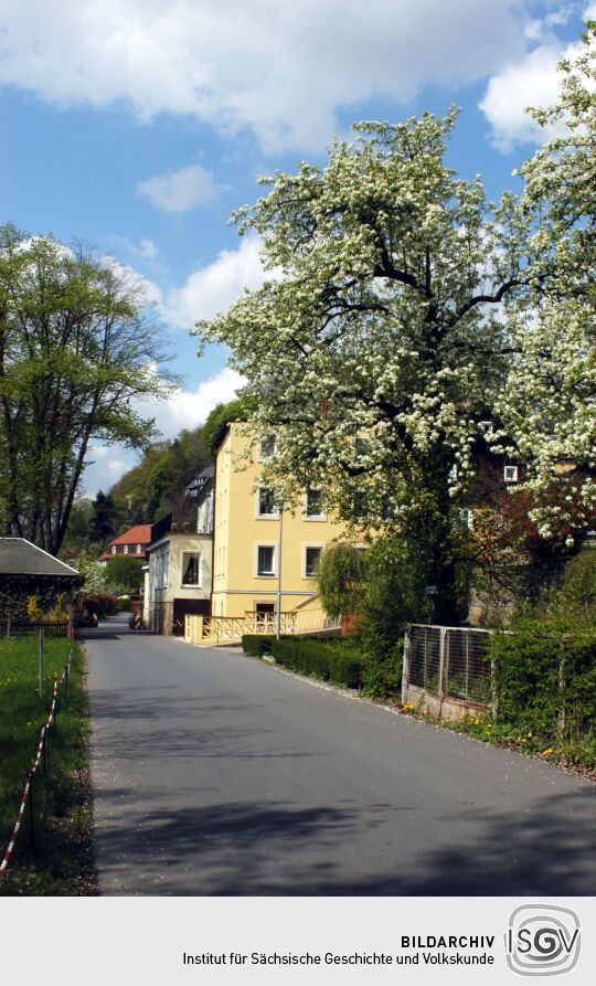 An der Elbe in Pirna-Posta