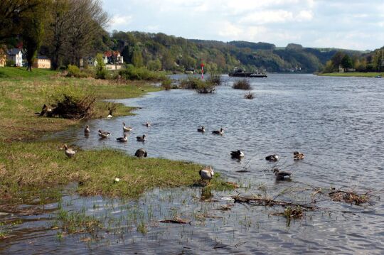 Ortsansicht in Pirna