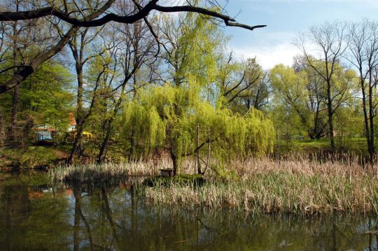 Ortsansicht in Gönnsdorf