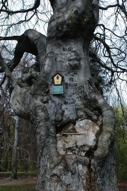 Ortsansicht in Helfenberg