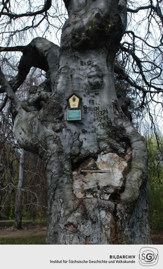 Ortsansicht in Helfenberg