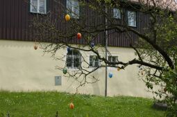 Bild: Ortsansicht in Dittersbach