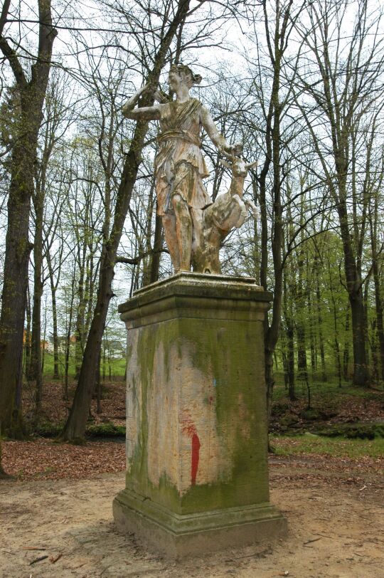 Ortsansicht in Dittersbach