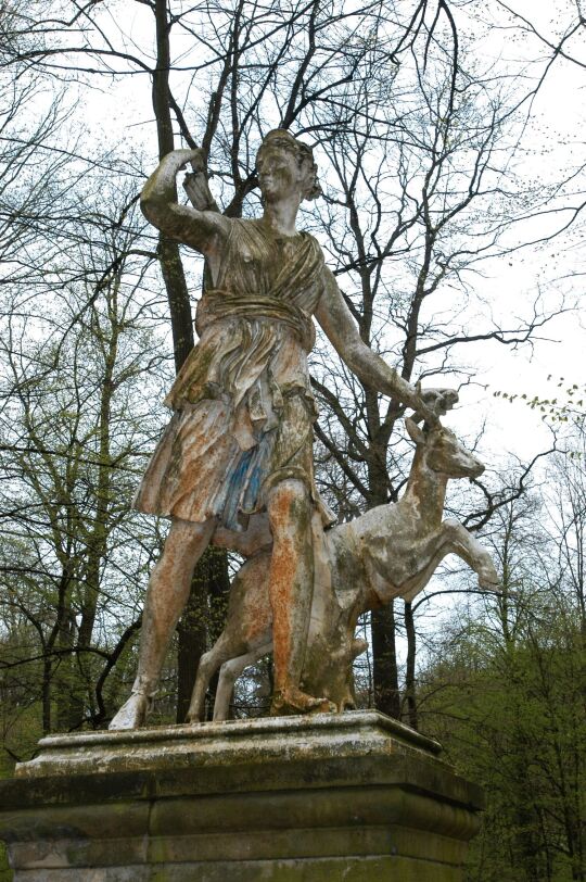 Ortsansicht in Dittersbach