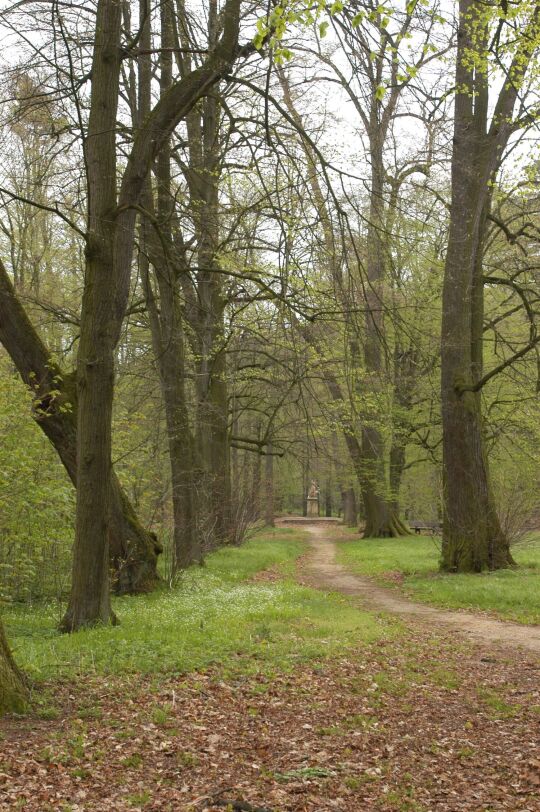 Ortsansicht in Dittersbach