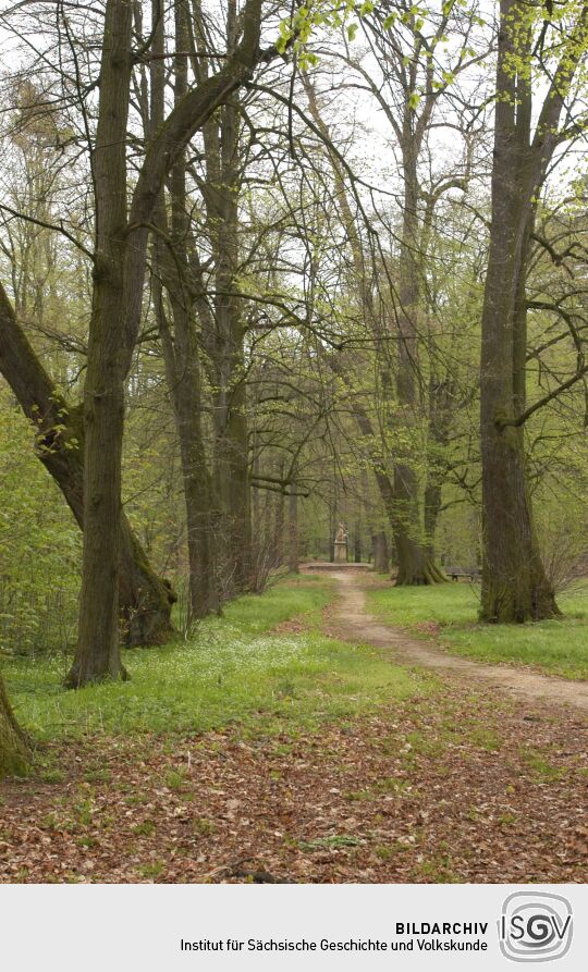 Ortsansicht in Dittersbach