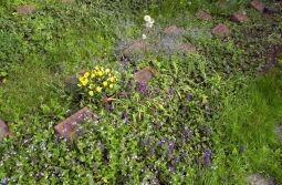 Bild: Ortsansicht in Baruth